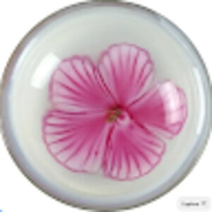 Meet your Posher, Ruby